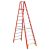 Ladder – Werner 10 ft. Reach