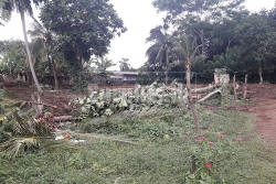 34 Perch Valuable Land for Sale in Beliatta Matara.