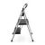 Ladder – Gorilla Ladders 2-Step Lightweight Steel Step Stool Ladder with 225 lbs.