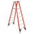 Ladder – Werner 12 ft. Reach