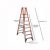 Ladder – Werner 16 ft. Reach
