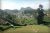 85 Perches Land for sale in Nuwara Eliya Facing Badulla (A7) main road