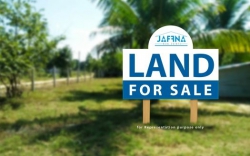 Land for Sale in Katugastota