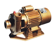 FG – DOMESTIC PUMPS