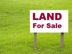 50 Perches Land sale for 20Mn – Madu River View (Balapitiya)