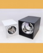 METAL POWDER COATED CEILING LIGHTS L – 20