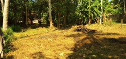 Land for Sale in Wadduwa with All Facilities