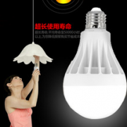 9w LED Bulb