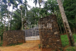 Coconut Estate for sale in Matale 21A / 3R/ 18P