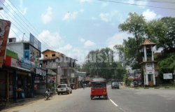 Valuable Rubber Estate for Salae at kaluaggala Avissawella.