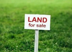 Land for Sale in Ganepola.