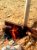 Sayuri Tube Well JaEla