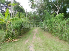 Land and House For Sale Veyangoda