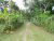 Land and House For Sale Veyangoda