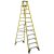 Ladder – Werner 12 ft. Fiberglass