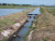 Irrigation & Drainage Canals