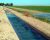 Irrigation & Drainage Canals