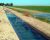 Irrigation & Drainage Canals