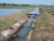 Irrigation & Drainage Canals