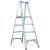 Ladder – Werner 10 ft. Reach