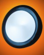 POWDER COATED METAL CEILING LIGHTS – 67