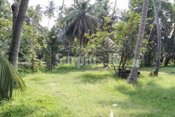 200 Perches Land for Sale in Marawila