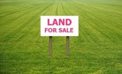 Land for Sales -Homagama
