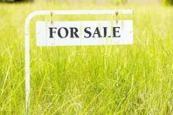 Land for Sale in – Wellawaya