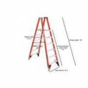 Ladder – Werner 12 ft.