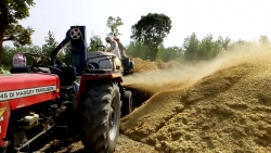 Tafe with trailor & thresher machine