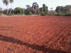 Soil Transport Service