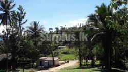 For Sale 10 Perches Land Blocks in Digana.