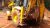 Jcb Backhoe