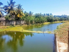 Water Front 11.09P Land for Sale in Rajagiriya