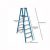 Ladder – Werner 12 ft. Reach Fiberglass Platform Twin Step Ladder