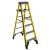 Ladder – Werner 6 ft. Fiberglass Step