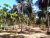 Thorayaya, Badagamuwa Land for Sale