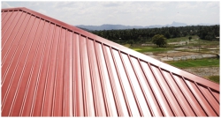 AMANO SHEETS -STRIP PANEL