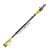 Sun Joe 8 in  Pole Chain Saw