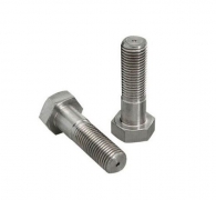 SS Hex Bolt