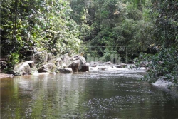 Beautiful Land for Sale in Neluwa Galle