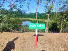 Land for Sale in Kosgama