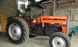 Tafe 45D Tractor