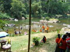 Running Holiday Resort at Kithulgala on the Colombo – Hatton main Road.