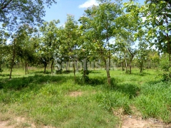 10 Acres Commercial Land for Sale in Puttalam