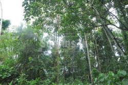 Beautiful Water Front Lands Sale at Neluwa Galle.