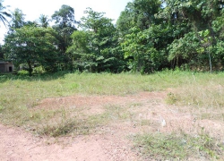 95.5 Perch of Bare Land for Sale at Kimbulapitiya Negombo.