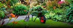 Garden Services