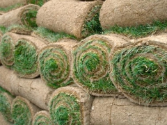 Grass Suppliers
