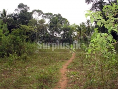 A valuable 35 Perches Land for sale in Dekatana Delgoda.
